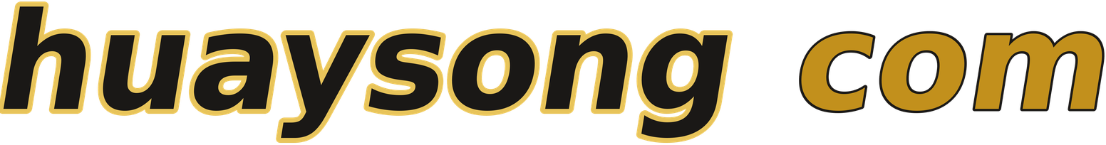 huaysong com logo
